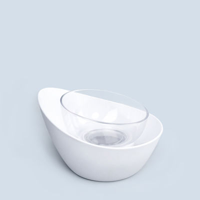 কুকুরছানা এবং বিড়ালের জন্য উচ্চ বিড়াল ফিডার বাটি